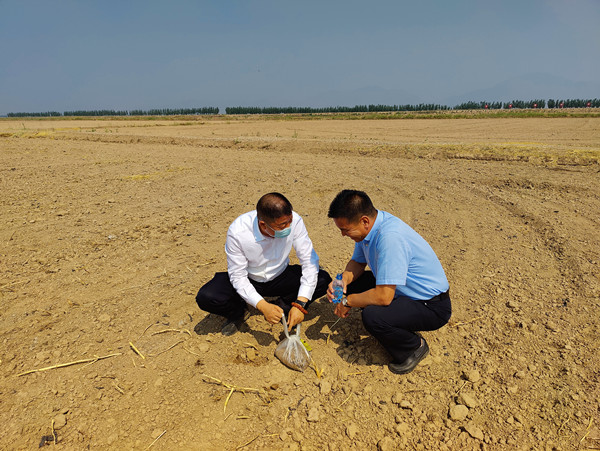 调研组在内蒙古恒丰集团银粮面业有限公司小麦种植基地检查土壤.jpg